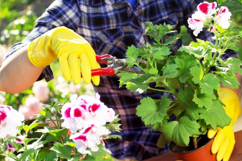 Professional jet washing equipment cleaning exterior surfaces