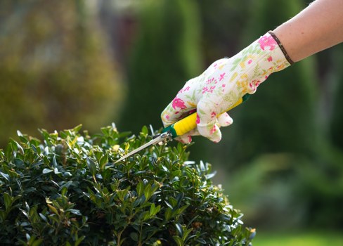 Professional gardener using jet wash equipment in a garden