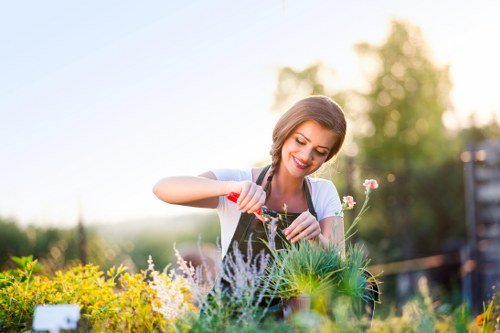 High-pressure jet wash cleaning service in Bounds Green