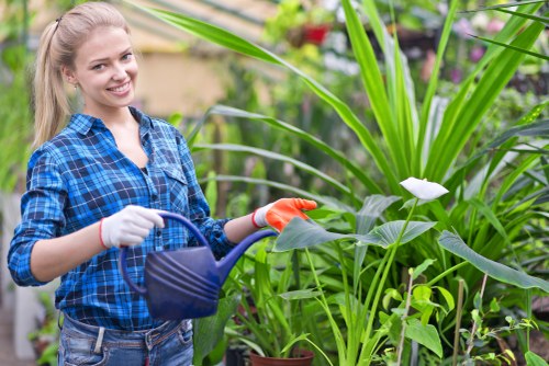 High-pressure jet washing equipment in use