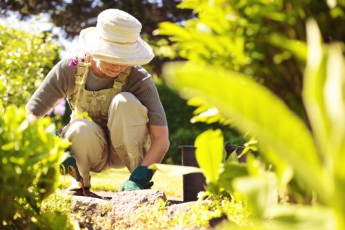 Eco-friendly cleaning process with biodegradable detergents