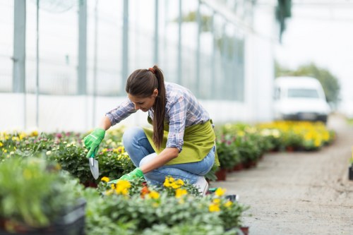 High pressure jet wash equipment cleaning garden surfaces