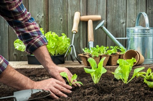 Expert using jet wash for garden maintenance