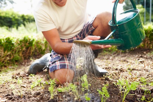 Modern garden cleaning equipment in use