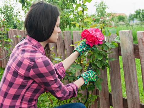 Eco-friendly jet wash cleaning benefits for garden maintenance