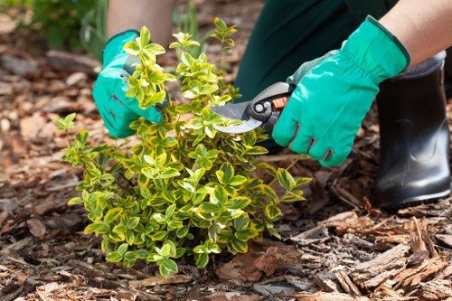 Eco-friendly cleaning with jet wash technology