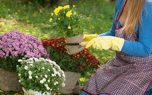 High-pressure cleaning equipment in action on garden pathway