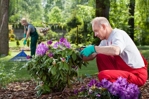 Eco-friendly exterior cleaning process