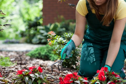 Eco-friendly cleaning process with high-pressure water spray