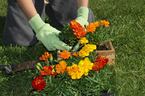 Close-up of precision cleaning on an outdoor surface