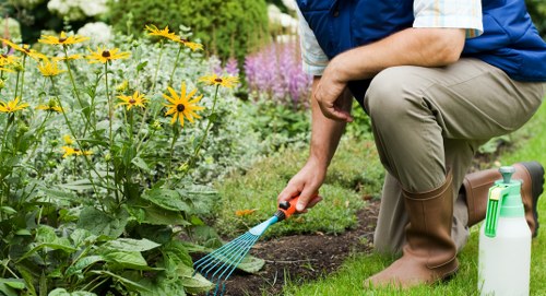 Long-term outdoor maintenance with jet wash and garden care professional