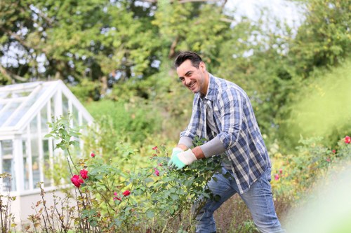 Eco-friendly pressure washing showcasing environmental benefits