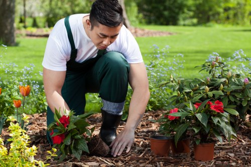 Clean and refreshed outdoor space after jet wash service