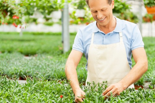 Eco-friendly jet wash cleaning enhancing garden aesthetics