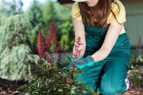 Eco-friendly cleaning process in action with safe agents