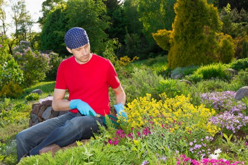 High-pressure jet wash cleaning hard surfaces in a landscaped yard