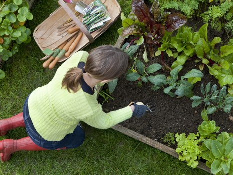 Eco-friendly jet wash cleaning for lawn mower maintenance