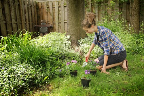 Expert mowing service trimming grass