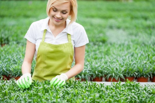 Futuristic landscape gardening with automated jet wash technology