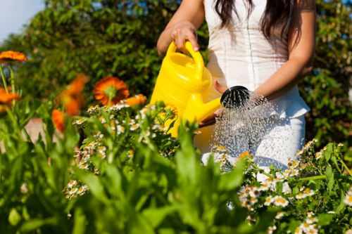 Close-up view of eco-friendly high-pressure water cleaning