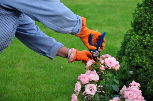 Landscaper assessing property and planning jet wash cleaning