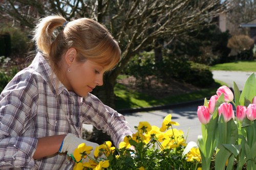 Future trends in sustainable garden design with jet wash services